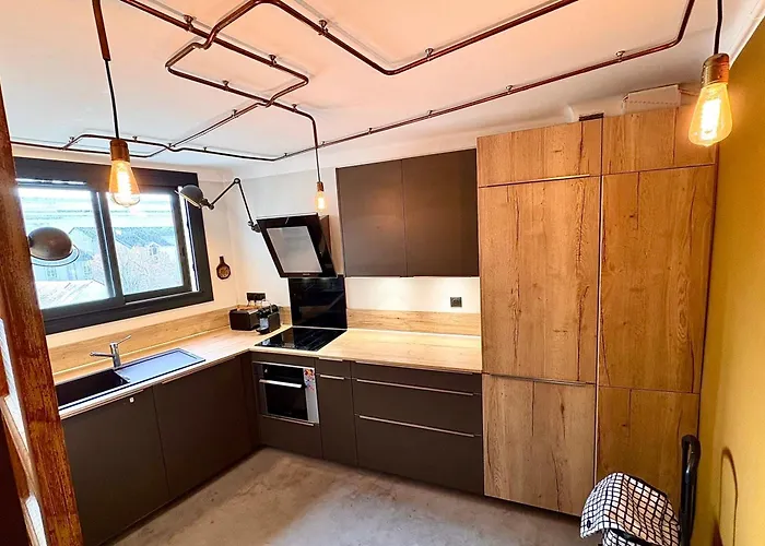 Apartamento Lovely T2 Facing Jardin Des Plantes Nantes